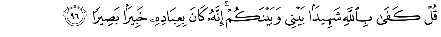 قُلْ كَفَى بِاللَّهِ شَهِيدًۢا بَيْنِى وَبَيْنَكُمْ ۚ إِنَّهُۥ كَانَ بِعِبَادِهِۦ خَبِيرًا بَصِيرًا