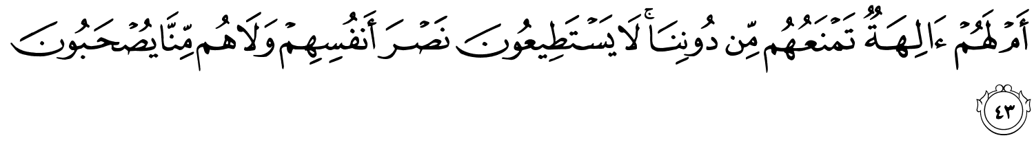 أَمْ لَهُمْ ءَالِهَةٌۭ تَمْنَعُهُم مِّن دُونِنَا لا يَسْتَطِيعُونَ نَصْرَ أَنفُسِهِمْ وَلا هُم مِّنَّا يُصْحَبُونَ