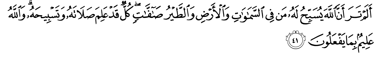 أَلَمْ تَرَ أَنَّ اللَّهَ يُسَبِّحُ لَهُ مَن فِي ٱلسَّمَـٰوَٰتِ وَٱلْأَرْضِ وَٱلطَّيْرُ صَـٰٓفَّـٰتٍۢ ۖ كُلٌّۭ قَدْ عَلِمَ صَلَاتَهُۥ وَتَسْبِيحَهُۥ ۗ وَٱللَّهُ عَلِيمٌۢ بِمَا يَفْعَلُونَ