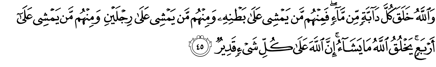 وَاللَّهُ خَلَقَ كُلَّ دَآبَّةٍۢ مِّن مَّآءٍۢ ۖ فَمِنْهُم مَّن يَمْشِى عَلَىٰ بَطْنِهِۦ وَمِنْهُم مَّن يَمْشِى عَلَىٰ رِجْلَيْنِ وَمِنْهُم مَّن يَمْشِى عَلَىٰٓ أَرْبَعٍۢ ۚ يَخْلُقُ ٱللَّهُ مَا يَشَآءُ ۚ إِنَّ اللَّهَ عَلَى كُلِّ شَيْءٍ قَدِيرٌ