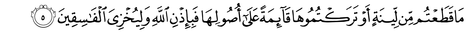 مَا قَطَعْتُم مِّن لِّينَةٍ أَوْ تَرَكْتُمُوهَا قَآئِمَةً عَلَىٰٓ أُصُولِهَا فَبِإِذْنِ ٱللَّهِ وَلِيُخْزِىَ ٱلْفَـٰسِقِينَ
