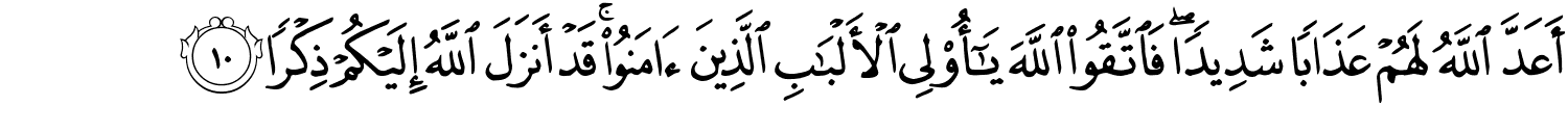 أَعَدَّ اللَّهُ لَهُمْ عَذَابًا شَدِيدًا فَاتَّقُوا اللَّهَ يَـٰٓأُو۟لِى ٱلْأَلْبَـٰبِ ٱلَّذِينَ ءَامَنُوا۟ ۚ قَدْ أَنزَلَ اللَّهُ إِلَيْكُمْ ذِكْرًا