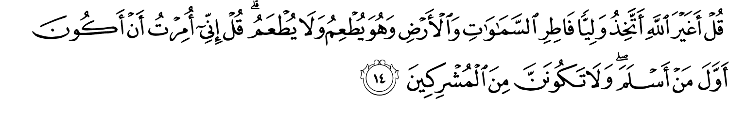 قُلْ أَغَيْرَ اللَّهِ أَتَّخِذُ وَلِيًّا فَاطِرِ ٱلسَّمَـٰوَٰتِ وَالأَرْضِ وَهُوَ يُطْعِمُ وَلاَ يُطْعَمُ قُلْ إِنِّىٓ أُمِرْتُ أَنْ أَكُونَ أَوَّلَ مَنْ أَسْلَمَ وَلاَ تَكُونَنَّ مِنَ الْمُشْرِكِينَ