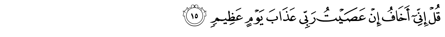 قُلْ إِنِّىٓ أَخَافُ إِنْ عَصَيْتُ رَبِّي عَذَابَ يَوْمٍ عَظِيمٍ