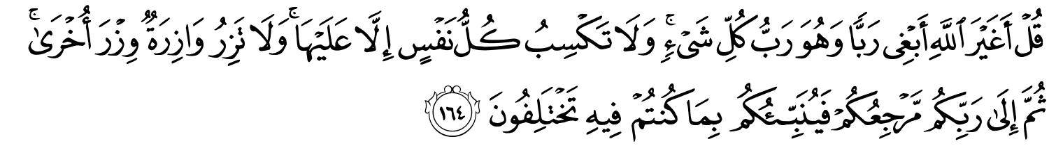 قُلْ أَغَيْرَ اللَّهِ أَبْغِي رَبًّا وَهُوَ رَبُّ كُلِّ شَيْءٍ وَلاَ تَكْسِبُ كُلُّ نَفْسٍ إِلاَّ عَلَيْهَا وَلاَ تَزِرُ وَازِرَةٌ وِزْرَ أُخْرَى ثُمَّ إِلَى رَبِّكُم مَّرْجِعُكُمْ فَيُنَبِّئُكُم بِمَا كُنتُمْ فِيهِ تَخْتَلِفُونَ