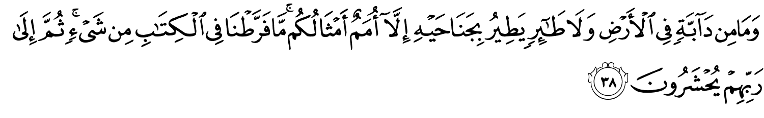 وَمَا مِن دَآبَّةٍۢ فِي الأَرْضِ وَلاَ طَـٰٓئِرٍۢ يَطِيرُ بِجَنَاحَيْهِ إِلَّآ أُمَمٌ أَمْثَالُكُم مَّا فَرَّطْنَا فِي ٱلْكِتَـٰبِ مِن شَيْءٍ ثُمَّ إِلَى رَبِّهِمْ يُحْشَرُونَ